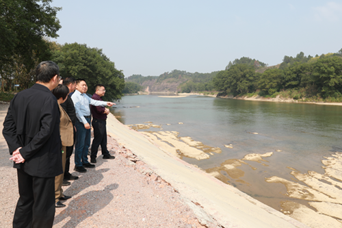 开云网页版页面登录党委书记张格林到乡村振兴对口联系点茶陵井和村调研