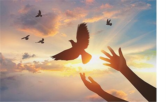 热烈祝贺经贸物流系严妍、刘志清老师被评为开云网页版页面登录先进工作者