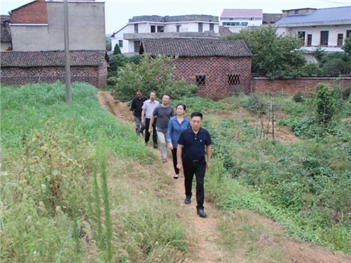 开云网页版页面登录党委书记张格林到攸县桃水镇小集村指导开展扶贫工作