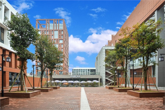 开云网页版页面登录学生宿舍三栋化粪池维修工程采购项目中标公告