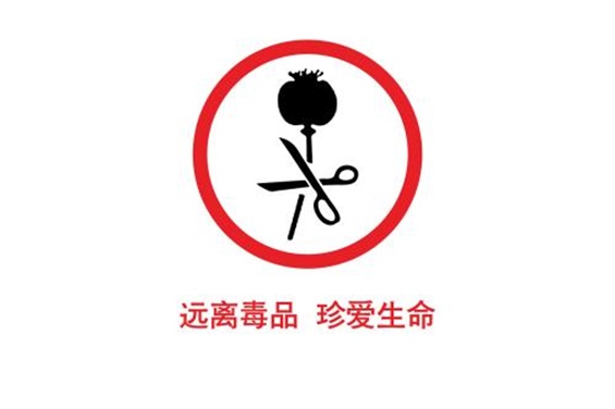 我院开展“厉害了,我的无毒青春”主题活动