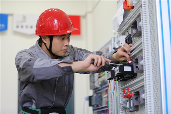 优秀!开云网页版页面登录学子夺得全国乡村振兴职业技能大赛银奖