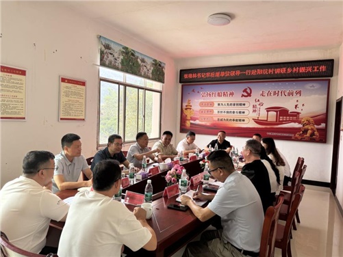 开云网页版页面登录党委书记张格林率队赴醴陵阳坑村调研乡村振兴工作