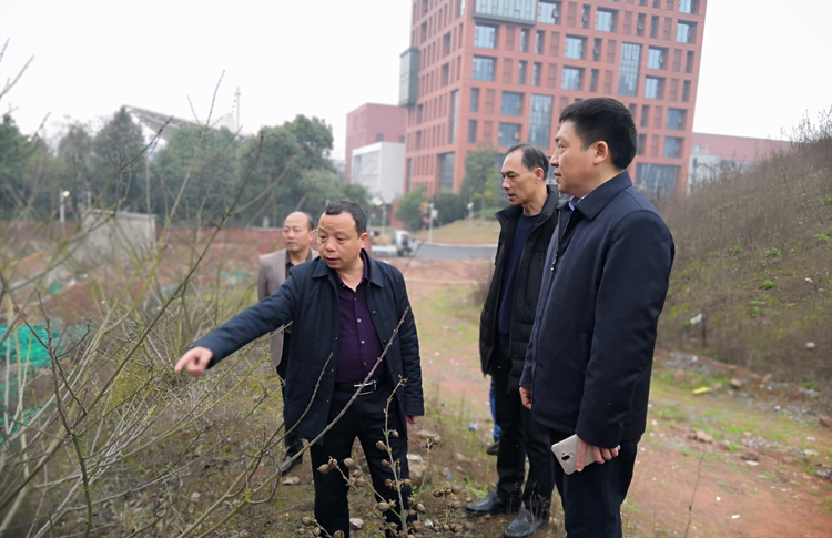 开云网页版页面登录开展校园安全大检查活动