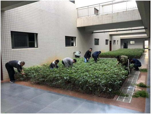 守初心、担使命,助力建设美丽校园